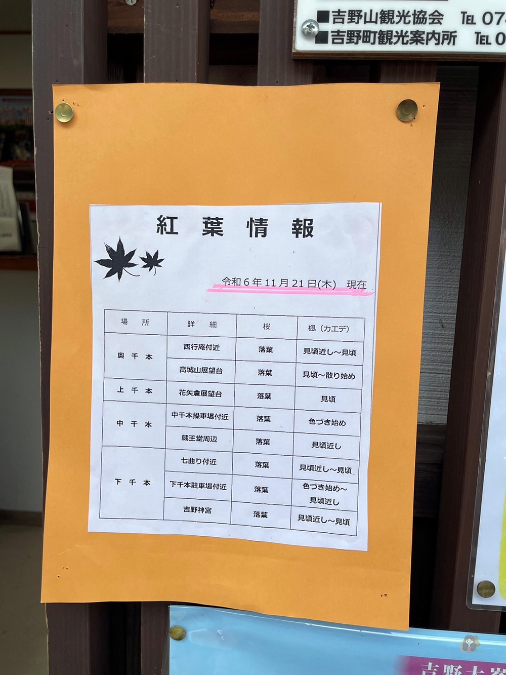 吉野山-近鐵吉野站