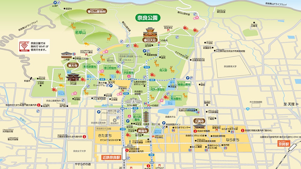 奈良市內一日遊輕旅行,慢旅奈良公園,走訪東大寺、浮見堂、依水園、中川政七 - 第11張圖 奈良公園