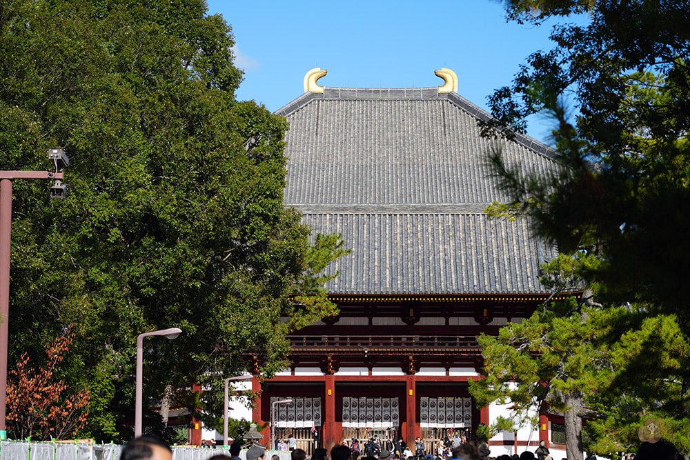 奈良公園-東大寺-奈良大佛