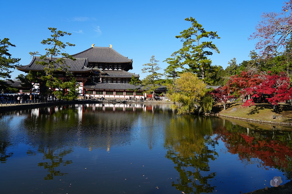 奈良公園-東大寺-奈良大佛