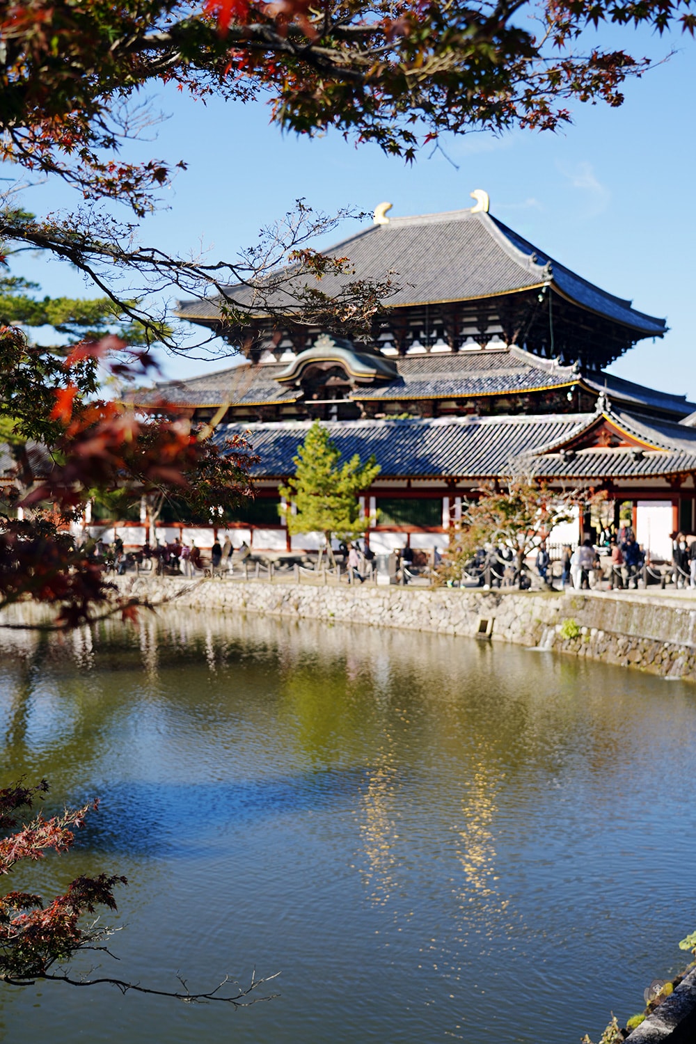 奈良公園-東大寺-奈良大佛