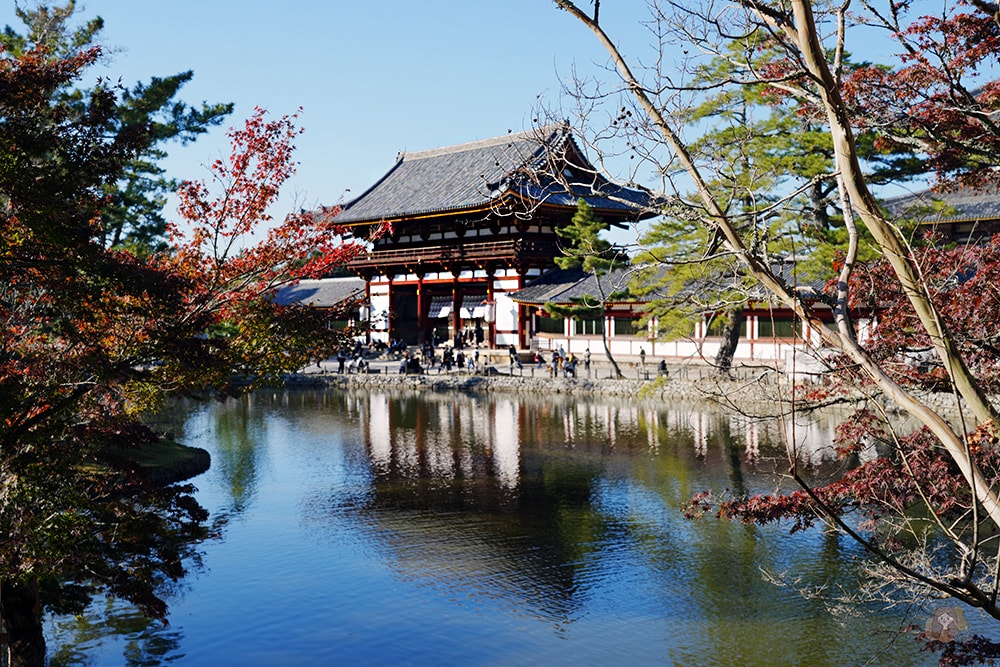 奈良公園-東大寺-奈良大佛