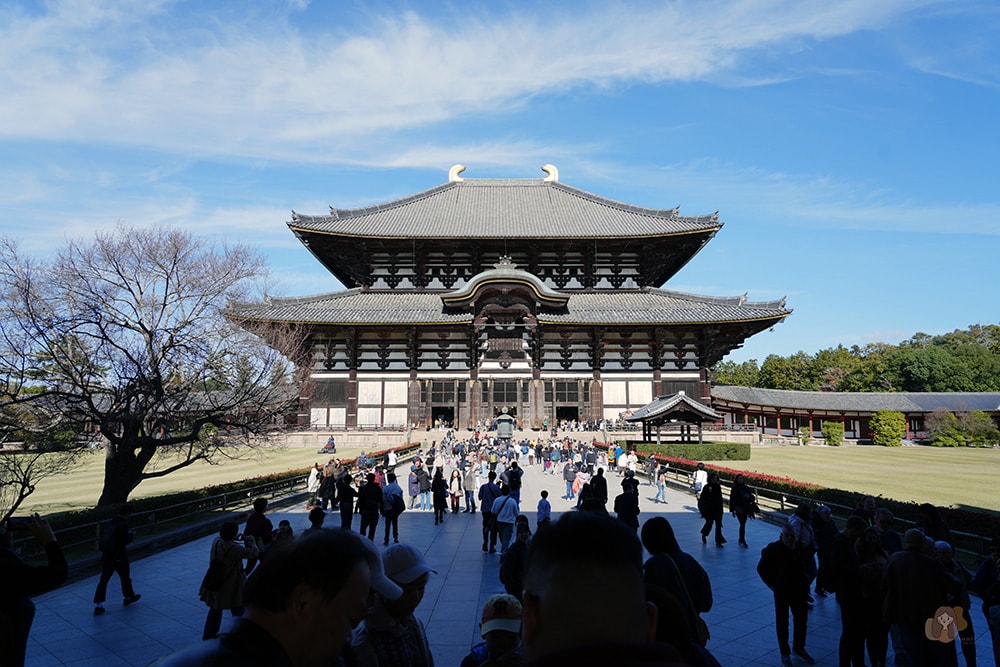 奈良市內一日遊輕旅行,慢旅奈良公園,走訪東大寺、浮見堂、依水園、中川政七 - 第24張圖 奈良公園-東大寺-奈良大佛