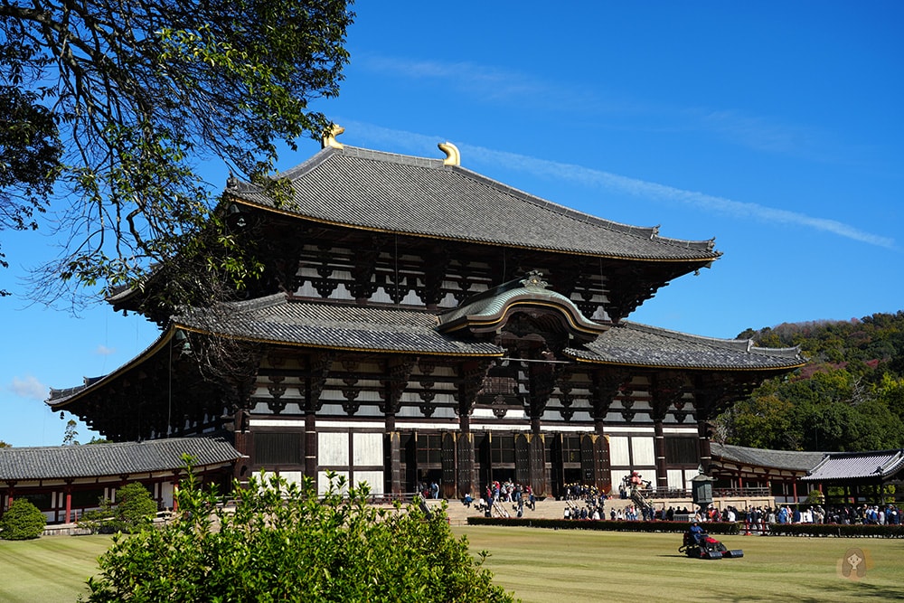 奈良公園-東大寺-奈良大佛