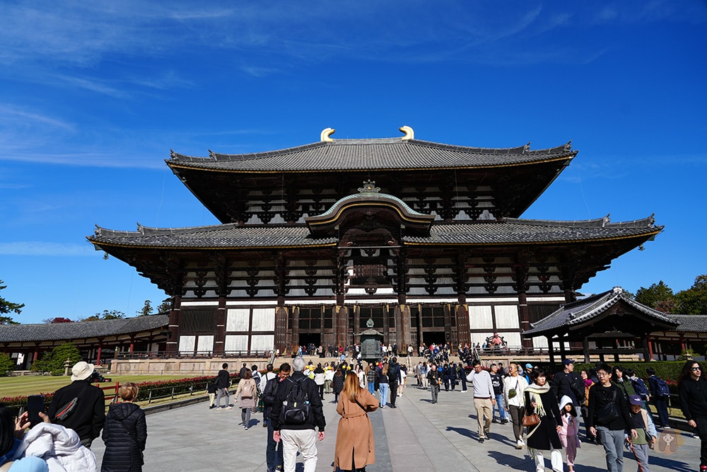 奈良公園-東大寺-奈良大佛
