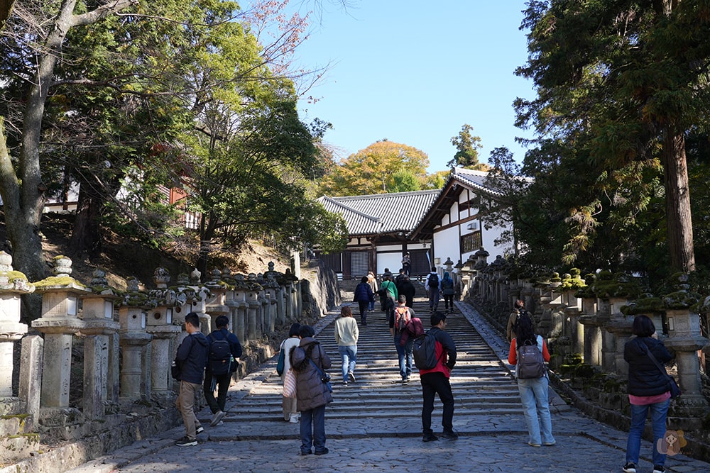 奈良公園-東大寺-奈良大佛