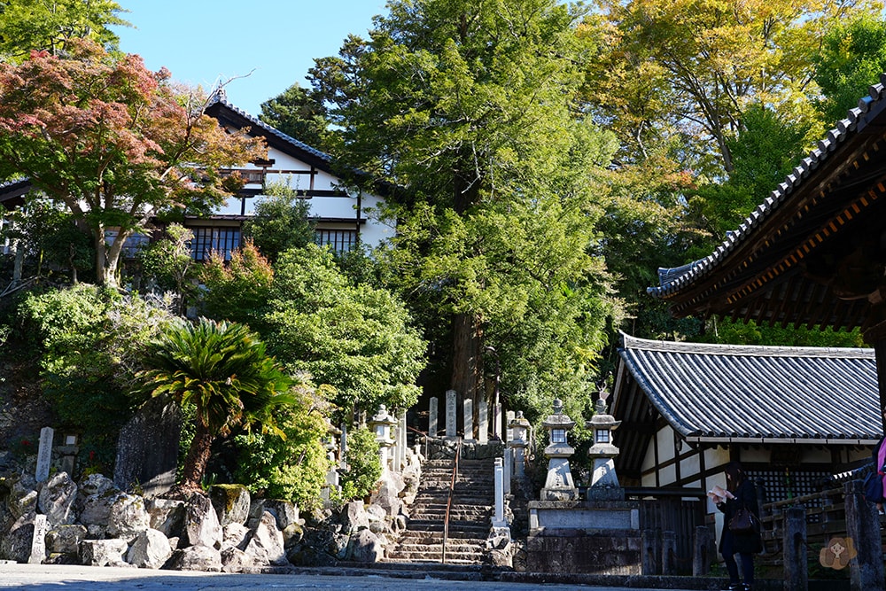 奈良公園-東大寺-奈良大佛