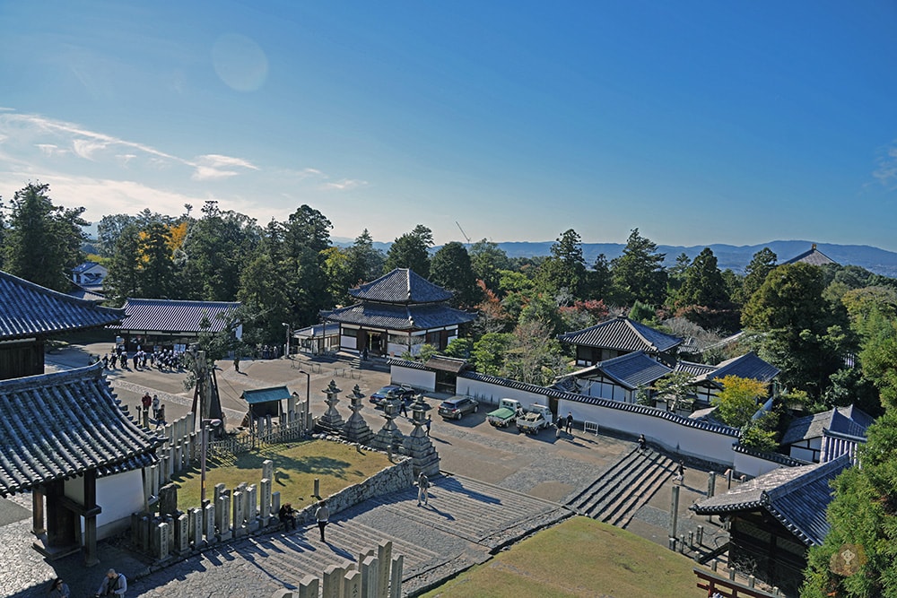 奈良公園-東大寺-奈良大佛