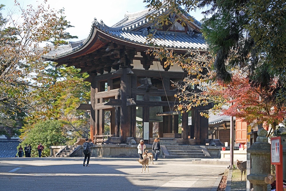 奈良公園-東大寺-奈良大佛