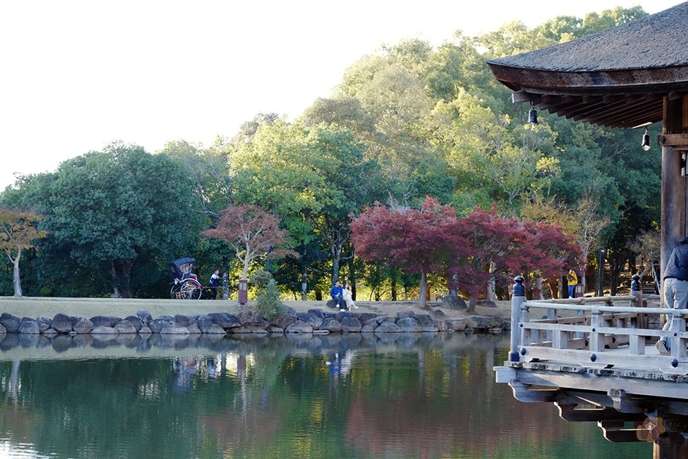 奈良市內一日遊輕旅行,慢旅奈良公園,走訪東大寺、浮見堂、依水園、中川政七 - 第54張圖 奈良公園-東大寺-浮見堂-依水堂