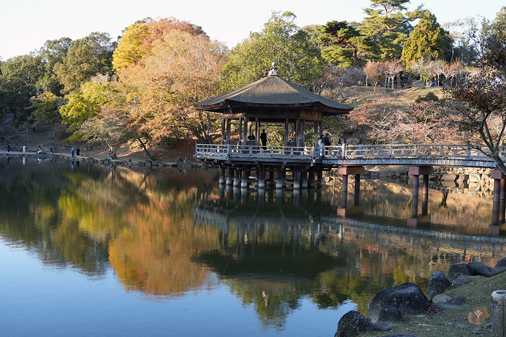 奈良公園-東大寺-浮見堂-依水堂