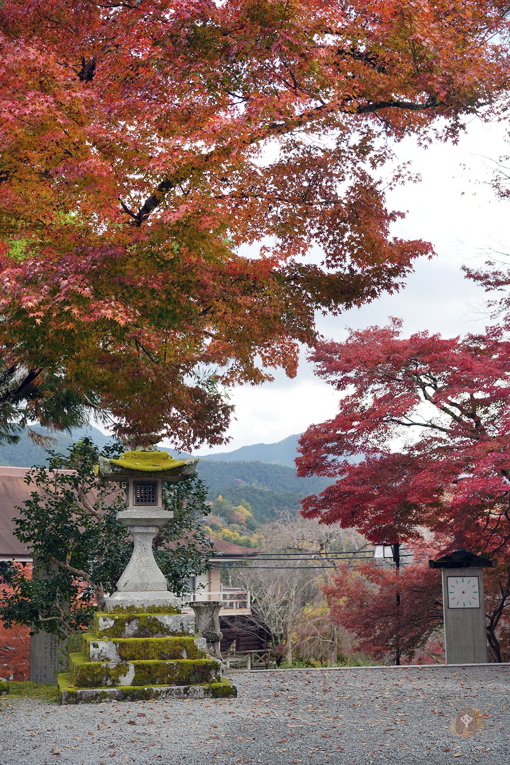 奈良吉野金峯山寺修驗道聖地,特別開帳拜觀藏王權現,最強護身符五嶽神鏡 - 第13張圖 奈良吉野山金峯山寺