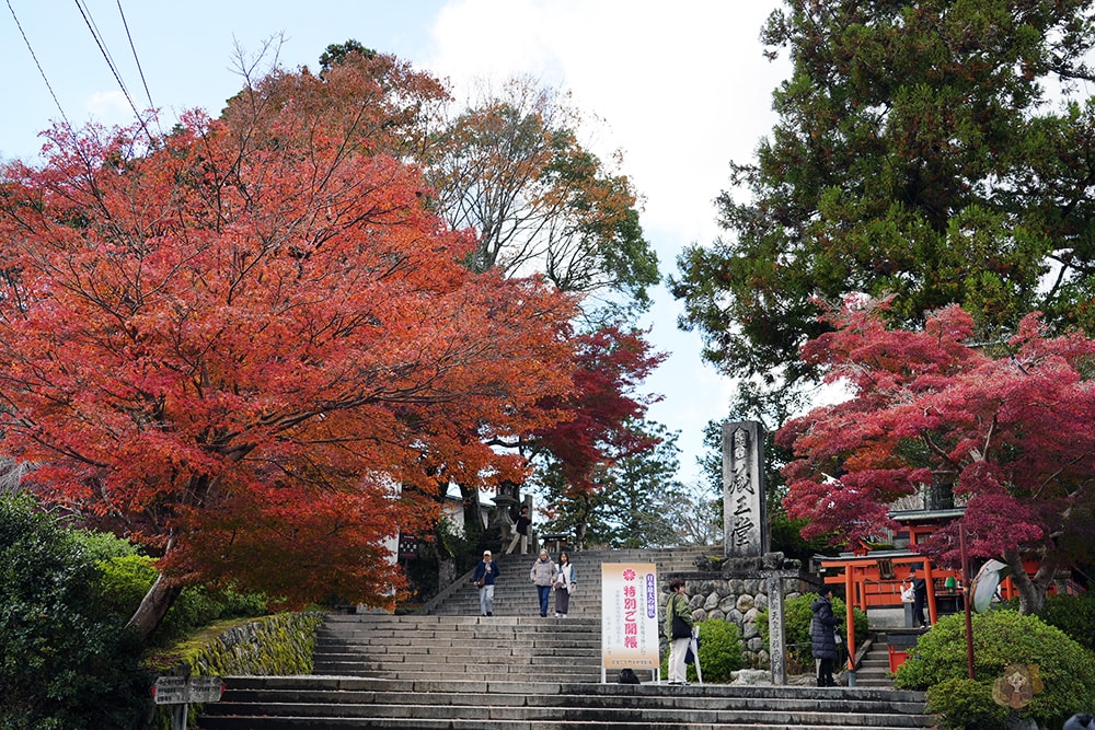 奈良吉野金峯山寺修驗道聖地,特別開帳拜觀藏王權現,最強護身符五嶽神鏡 - 第10張圖 奈良吉野山金峯山寺