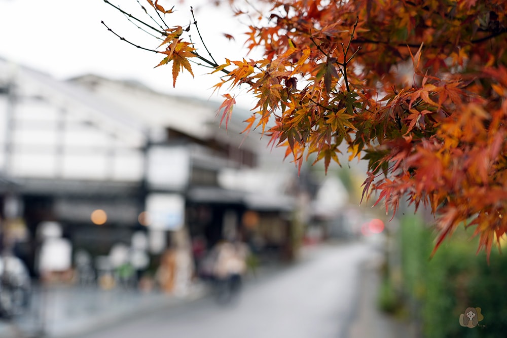 奈良吉野金峯山寺修驗道聖地,特別開帳拜觀藏王權現,最強護身符五嶽神鏡 - 第12張圖 奈良吉野山金峯山寺