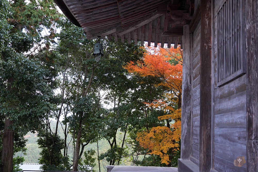 奈良吉野金峯山寺修驗道聖地,特別開帳拜觀藏王權現,最強護身符五嶽神鏡 - 第14張圖 奈良吉野山金峯山寺
