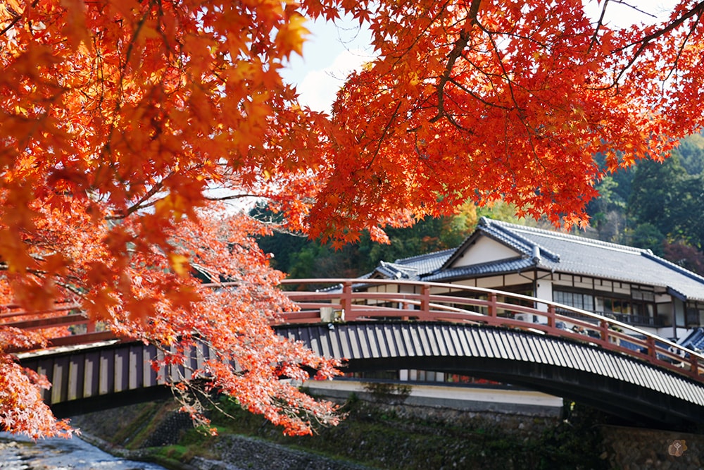 女人高野室生寺秋楓絕美景點,探訪藏身山林的國寶文物,浪漫奈良大和古寺巡禮 - 第17張圖 奈良 女人高野 室生寺