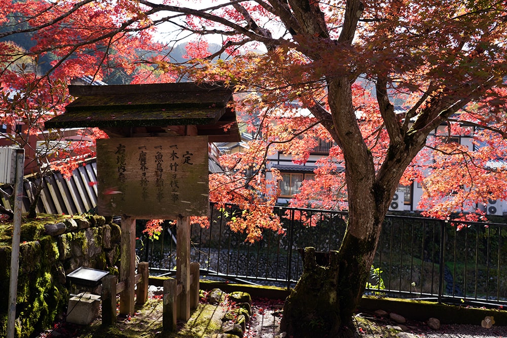 女人高野室生寺秋楓絕美景點,探訪藏身山林的國寶文物,浪漫奈良大和古寺巡禮 - 第19張圖 奈良 女人高野 室生寺