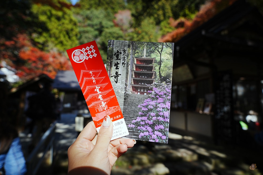 女人高野室生寺秋楓絕美景點,探訪藏身山林的國寶文物,浪漫奈良大和古寺巡禮 - 第22張圖 奈良 女人高野 室生寺