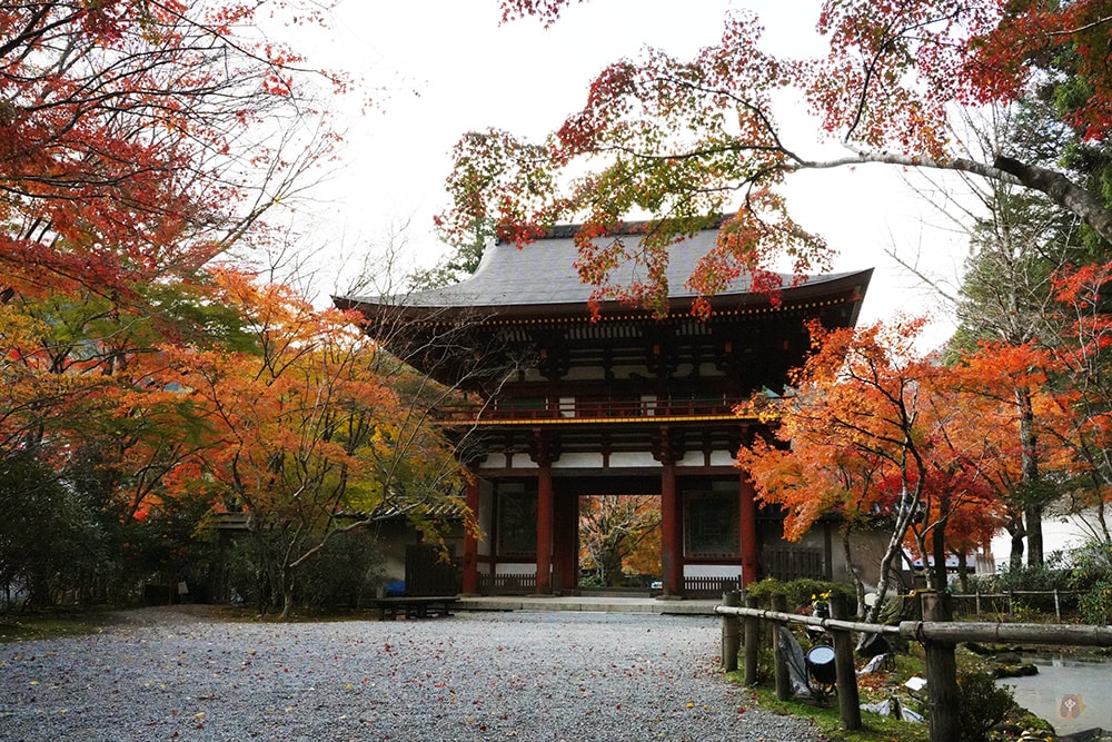 女人高野室生寺秋楓絕美景點,探訪藏身山林的國寶文物,浪漫奈良大和古寺巡禮 - 第28張圖 奈良 女人高野 室生寺