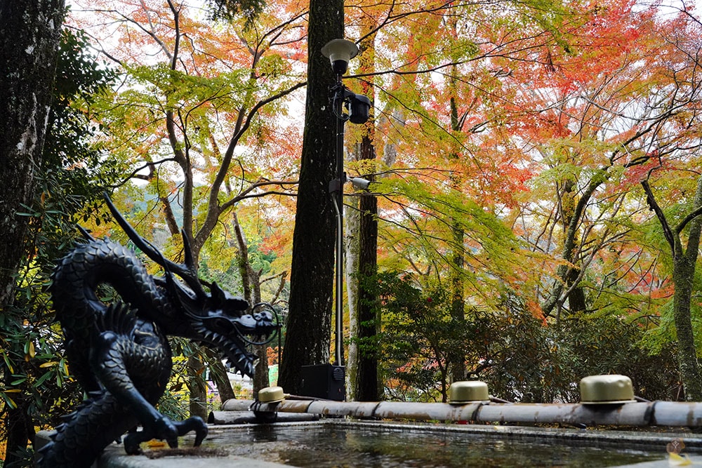 女人高野室生寺秋楓絕美景點,探訪藏身山林的國寶文物,浪漫奈良大和古寺巡禮 - 第30張圖 奈良 女人高野 室生寺
