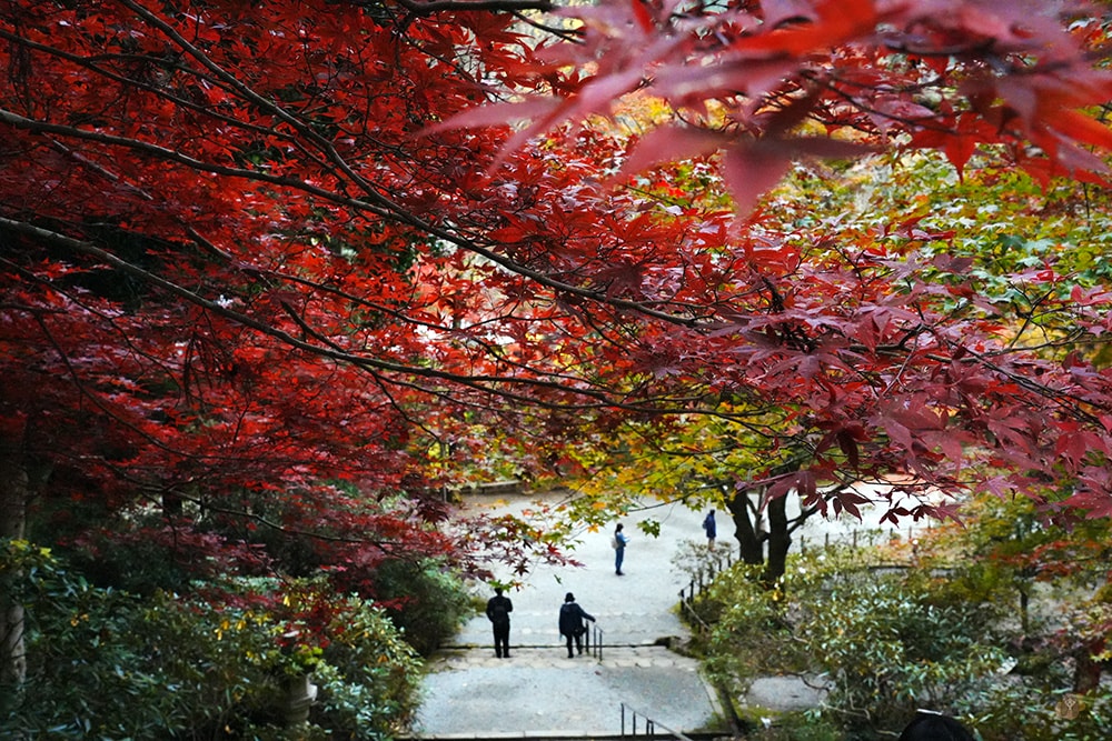 女人高野室生寺秋楓絕美景點,探訪藏身山林的國寶文物,浪漫奈良大和古寺巡禮 - 第32張圖 奈良 女人高野 室生寺