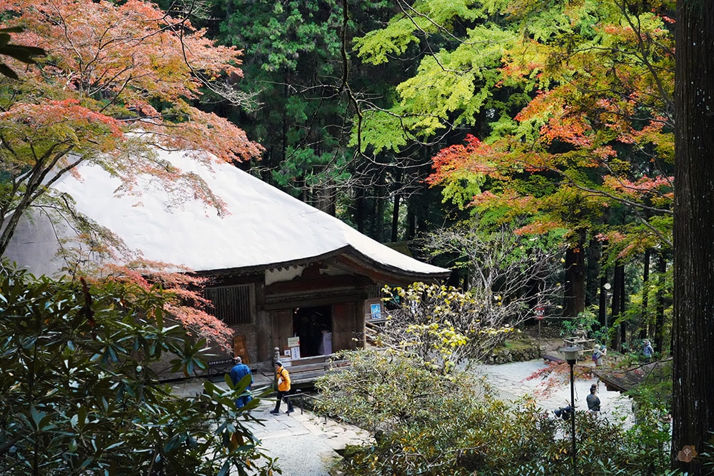 女人高野室生寺秋楓絕美景點,探訪藏身山林的國寶文物,浪漫奈良大和古寺巡禮 - 第35張圖 奈良 女人高野 室生寺