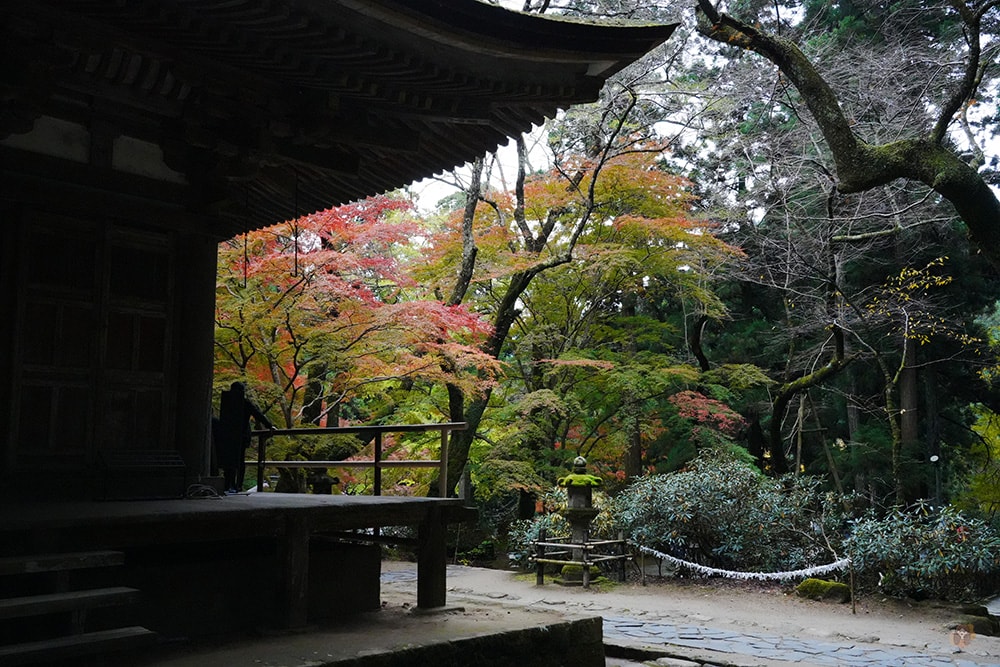 女人高野室生寺秋楓絕美景點,探訪藏身山林的國寶文物,浪漫奈良大和古寺巡禮 - 第43張圖 奈良 女人高野 室生寺