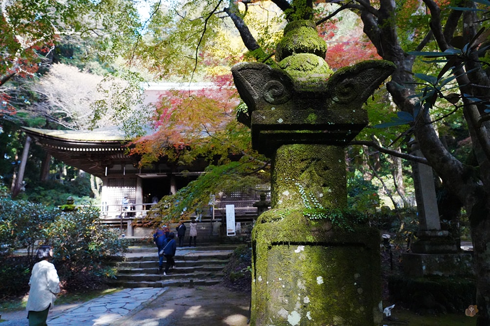 女人高野室生寺秋楓絕美景點,探訪藏身山林的國寶文物,浪漫奈良大和古寺巡禮 - 第38張圖 奈良 女人高野 室生寺