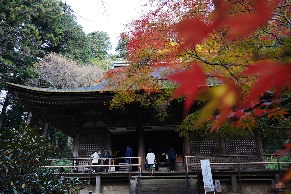 女人高野室生寺秋楓絕美景點,探訪藏身山林的國寶文物,浪漫奈良大和古寺巡禮 - 第37張圖 奈良 女人高野 室生寺