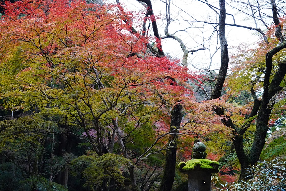 女人高野室生寺秋楓絕美景點,探訪藏身山林的國寶文物,浪漫奈良大和古寺巡禮 - 第39張圖 奈良 女人高野 室生寺