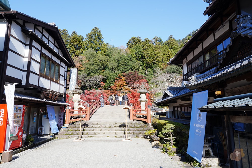 女人高野室生寺秋楓絕美景點,探訪藏身山林的國寶文物,浪漫奈良大和古寺巡禮 - 第13張圖 奈良女人高野室生寺