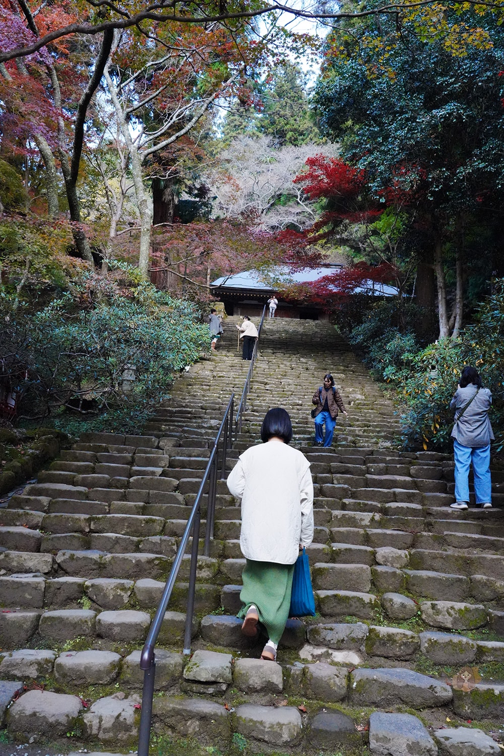 女人高野室生寺秋楓絕美景點,探訪藏身山林的國寶文物,浪漫奈良大和古寺巡禮 - 第31張圖 奈良女人高野室生寺
