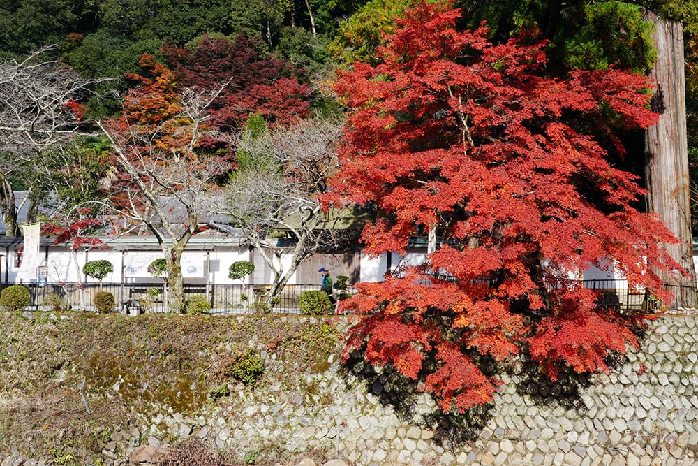 女人高野室生寺秋楓絕美景點,探訪藏身山林的國寶文物,浪漫奈良大和古寺巡禮 - 第11張圖 奈良 女人高野 室生寺
