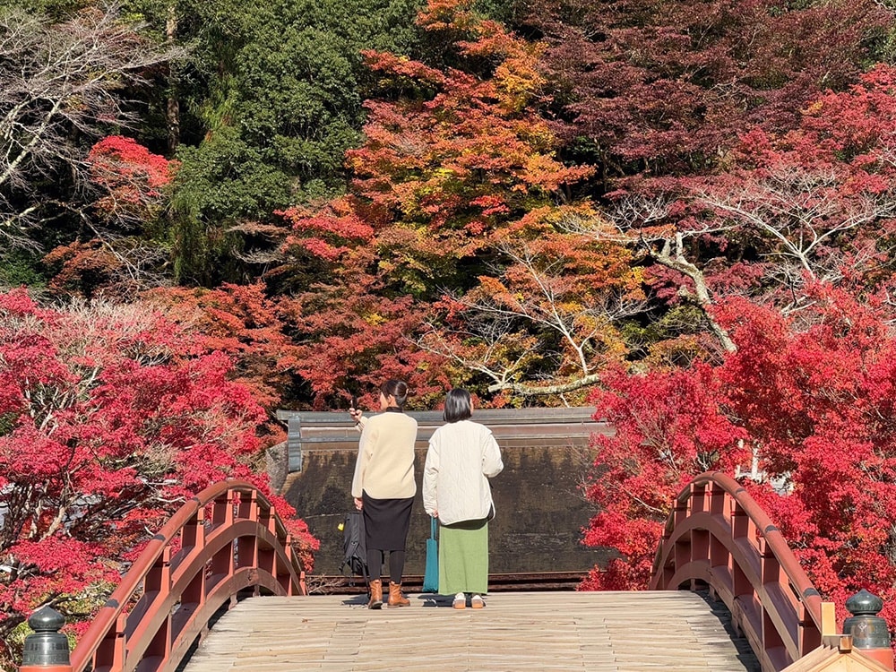 女人高野室生寺秋楓絕美景點,探訪藏身山林的國寶文物,浪漫奈良大和古寺巡禮 - 第14張圖 奈良 女人高野 室生寺