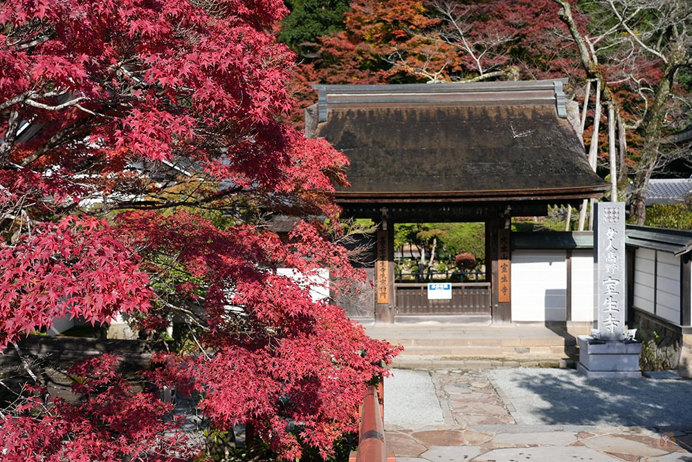 女人高野室生寺秋楓絕美景點,探訪藏身山林的國寶文物,浪漫奈良大和古寺巡禮 - 第16張圖 奈良 女人高野 室生寺