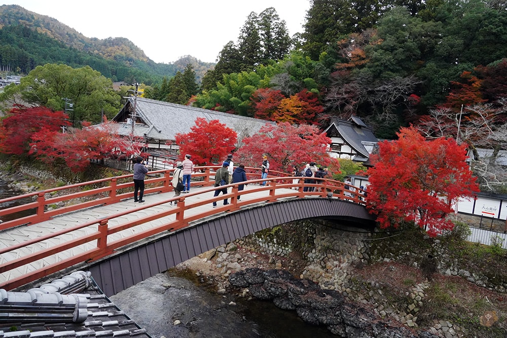 橋本屋山菜料理,室生寺太鼓橋前明治四年創業老舗料理旅館 - 第19張圖 室生寺前-橋本屋-山菜料理