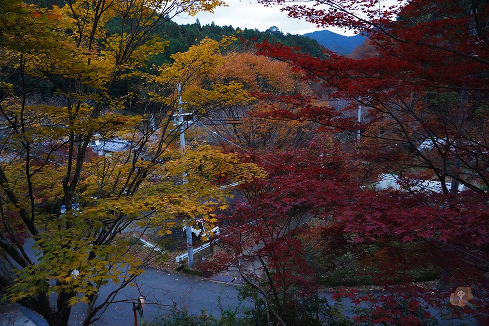 談山神社期間限定紅葉點燈,世界唯一木造十三重塔,境內藏有求好緣戀愛神社 - 第3張圖 奈良談山神社