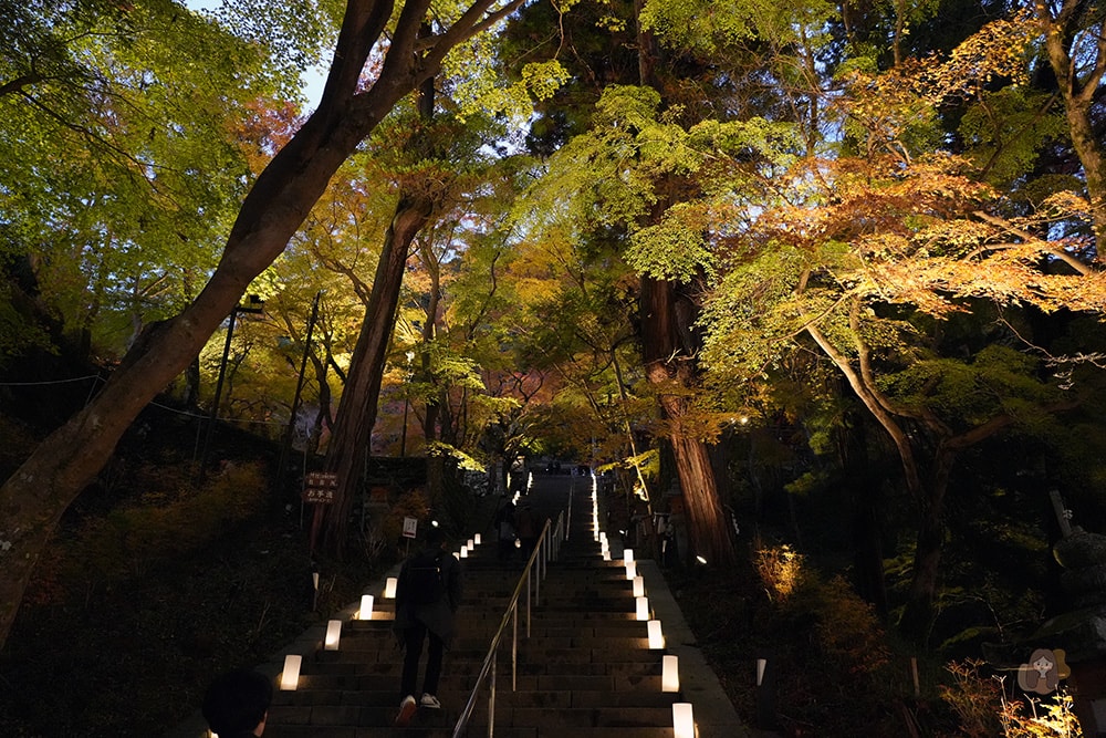 談山神社期間限定紅葉點燈,世界唯一木造十三重塔,境內藏有求好緣戀愛神社 - 第16張圖 奈良談山神社