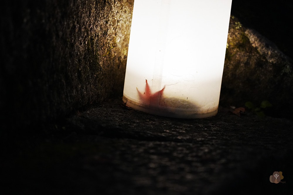 談山神社期間限定紅葉點燈,世界唯一木造十三重塔,境內藏有求好緣戀愛神社 - 第18張圖 奈良談山神社