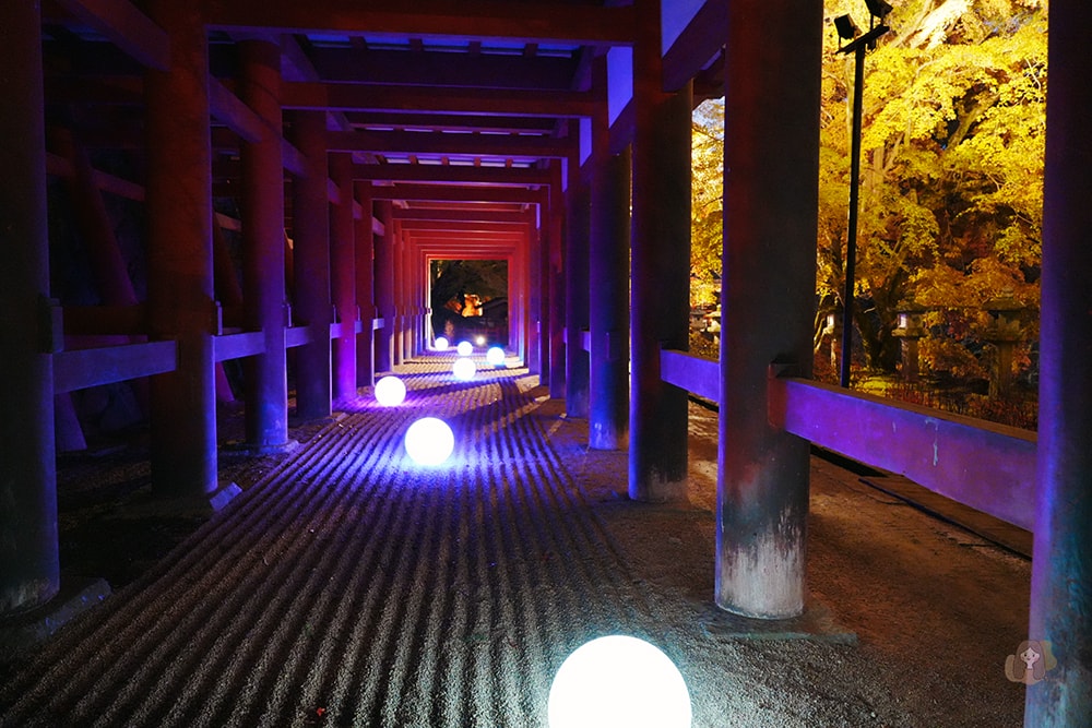 談山神社期間限定紅葉點燈,世界唯一木造十三重塔,境內藏有求好緣戀愛神社 - 第21張圖 奈良談山神社