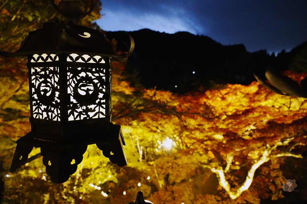 談山神社期間限定紅葉點燈,世界唯一木造十三重塔,境內藏有求好緣戀愛神社 - 第24張圖 奈良談山神社