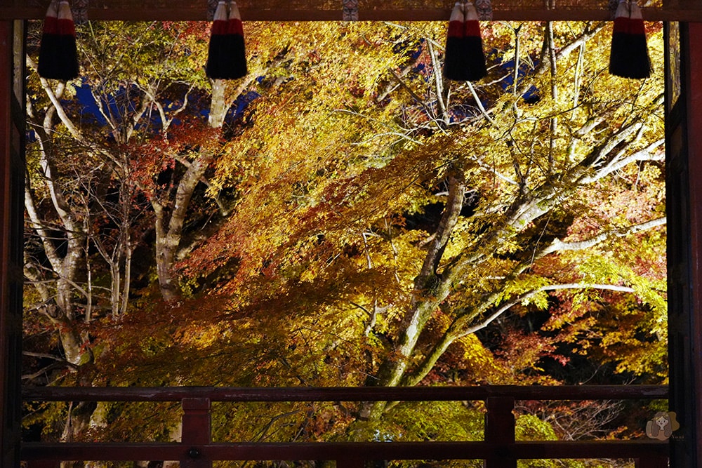 談山神社期間限定紅葉點燈,世界唯一木造十三重塔,境內藏有求好緣戀愛神社 - 第28張圖 奈良談山神社
