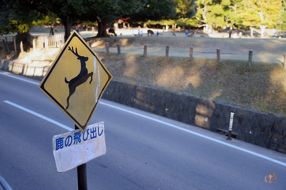 近鐵奈良站巴士