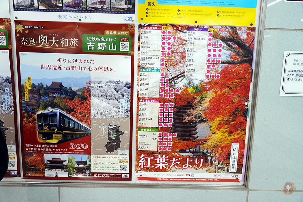 近鐵觀光特急 AONIYOSHI 青丹吉,連結大阪難波、奈良、京都,優雅穿梭古都與城市 - 第19張圖 近鐵觀光特急-AONIYOSHI