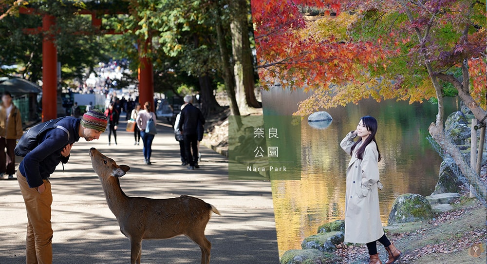 奈良一日遊景點