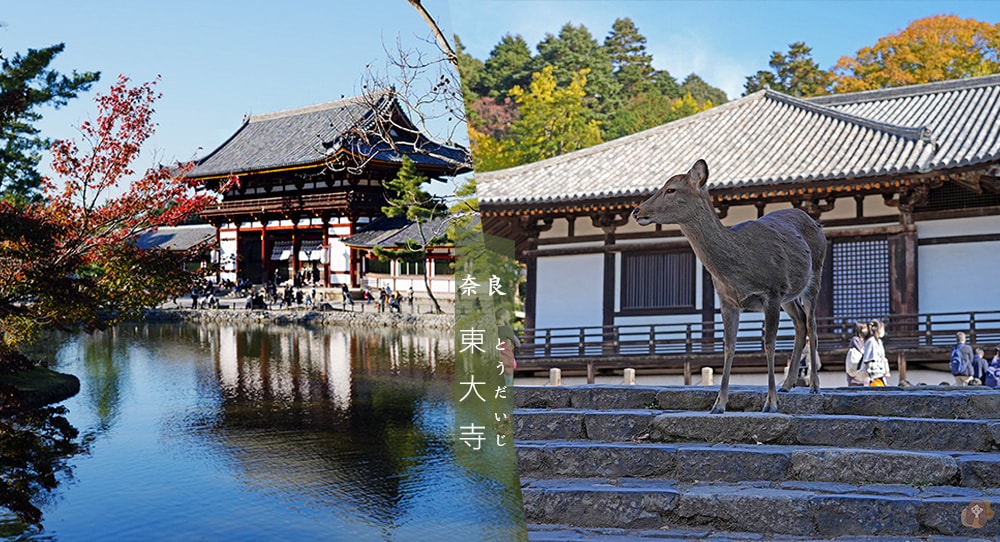 奈良公園-東大寺
