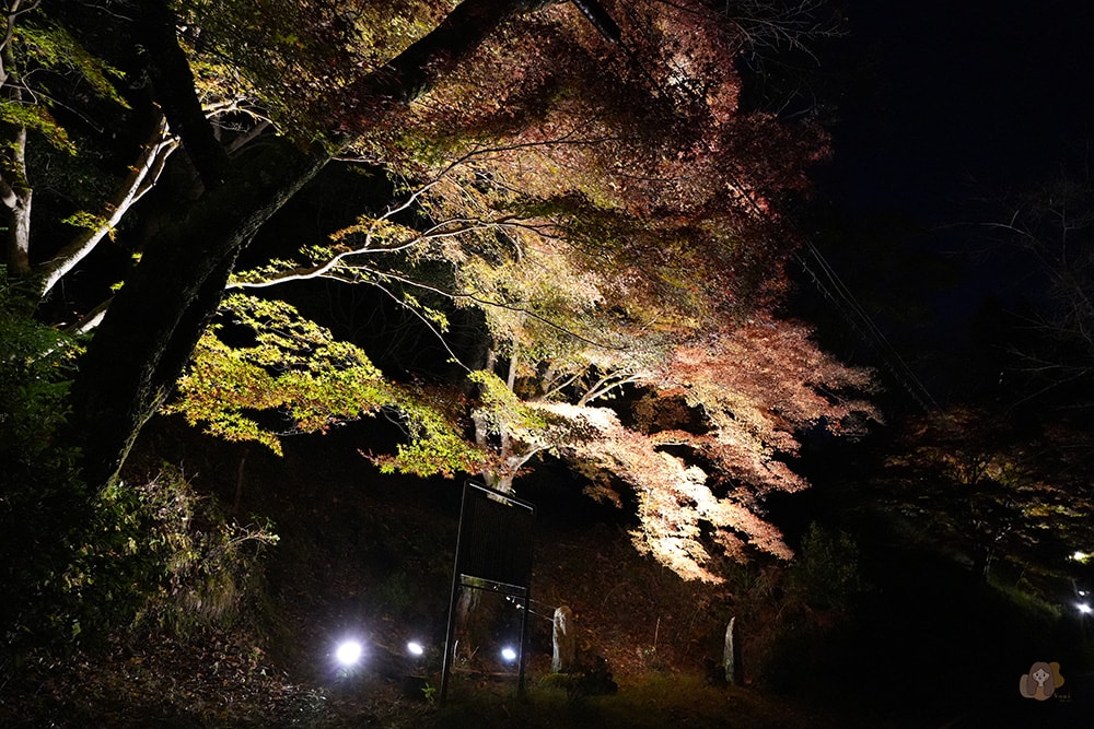 吉野山七曲坂