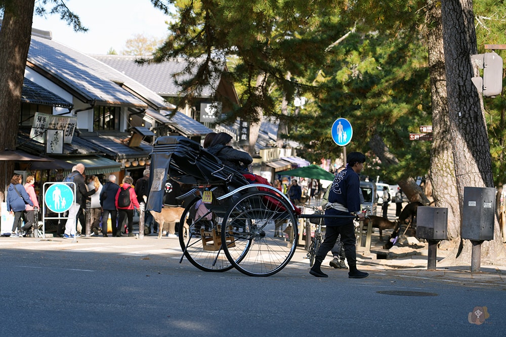 奈良公園-東大寺