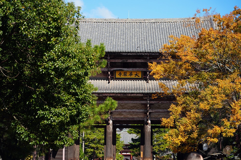 奈良公園-東大寺-奈良大佛