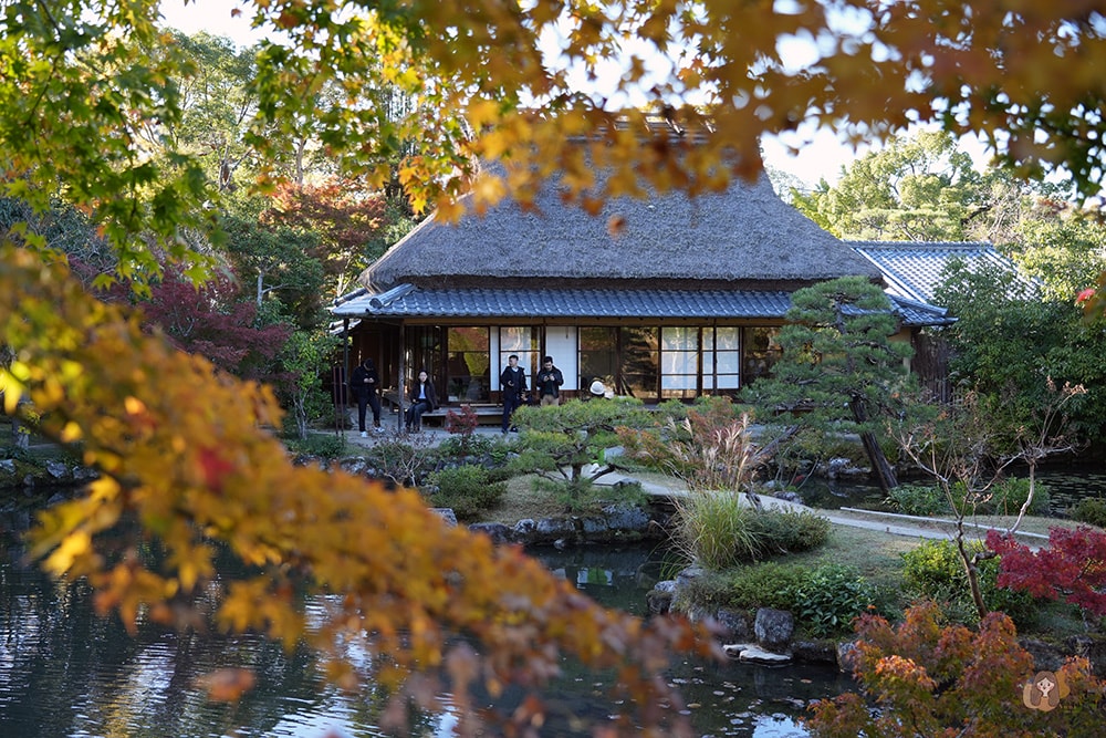奈良公園-東大寺-浮見堂-依水堂